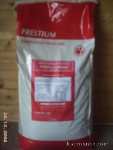 croquette pour chiens