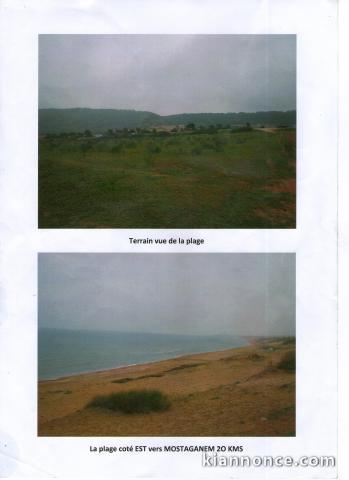 vente terrain a mostaganem