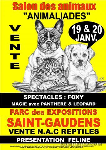 1er salon animaux ST GAUDENS 19/20 janvier2013