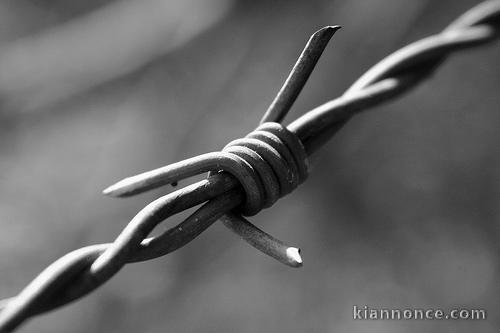 Fil barbelé prix imbattable