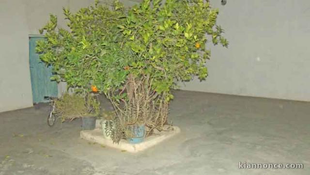 Maison à Taroudant Maroc