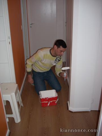 Travaux de peinture et de renovation CESU accepte. Artisan dispon