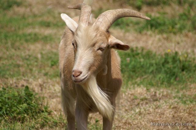  créer DES LIENS INTERGENERATIONNELS DE COEUR SUR LE 79