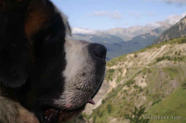 RECHERCHE PAPY & MAMY DE COEUR sur le 12