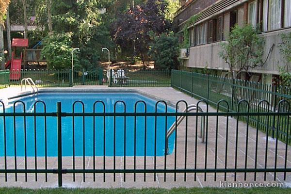 BARREAUDAGE MOTIF DECOR GALVANISE/THERMO LAQUE