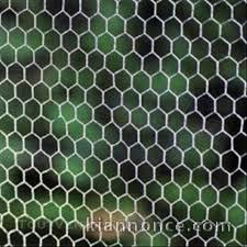 Grillage a poule a prix mini toutes tailles