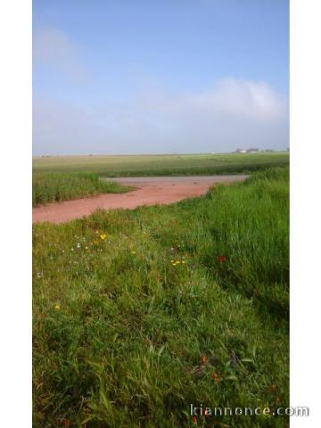 Terrain de 10 h région oulad saleh