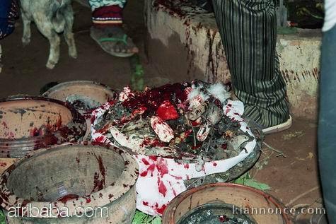 SOLUTION A TOUT VOS PROBLEMES