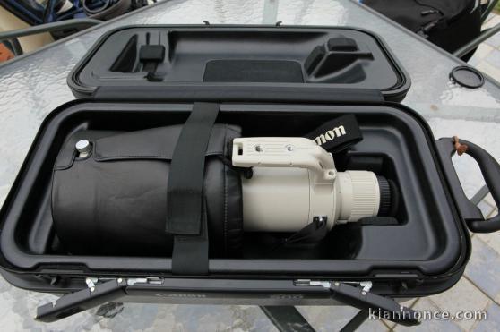 Canon EF 500 mm F4 L IS Usm