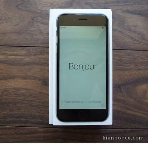 iphone 6 couleurs cendre