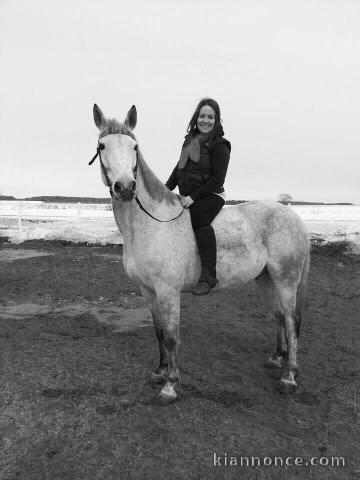  Hongre Camargue Plein Papier