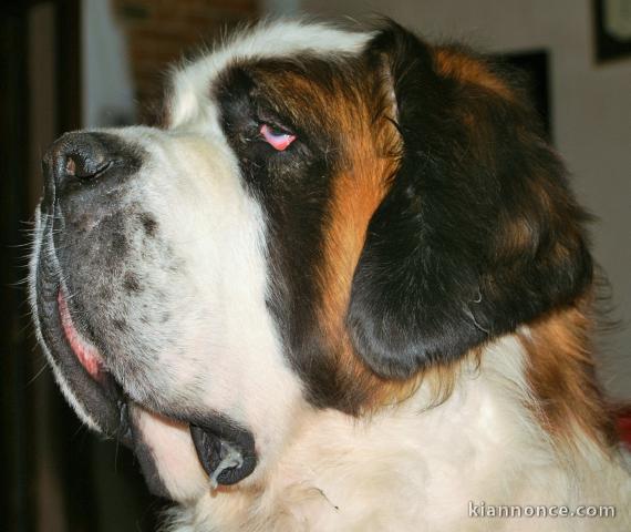 FAMILLE DE COEUR EN MANQUE DE GRANDS PARENTS