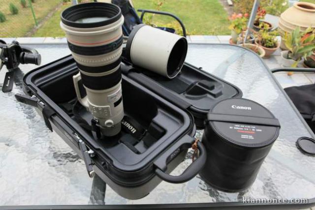 Canon EF 500 mm F4 L IS Usm