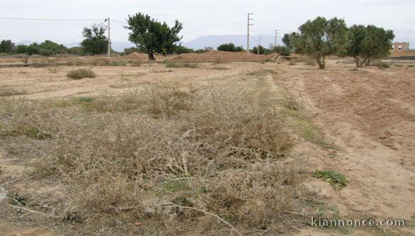 Terrain pour lotissement economique