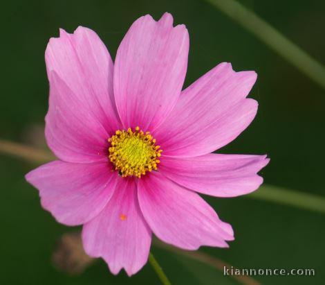 Grands-parents de cœur, un geste de générosité ! sur le 24