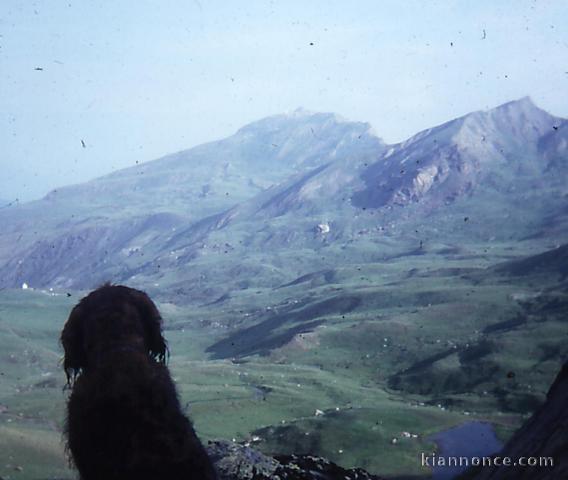 y a t il des grands parents de coeur sur le 05