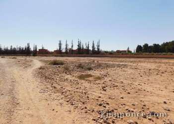 Deux parcelles pour villa ou maison d\