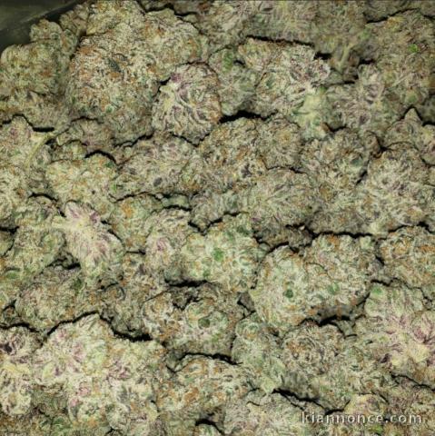 California Marijuana 