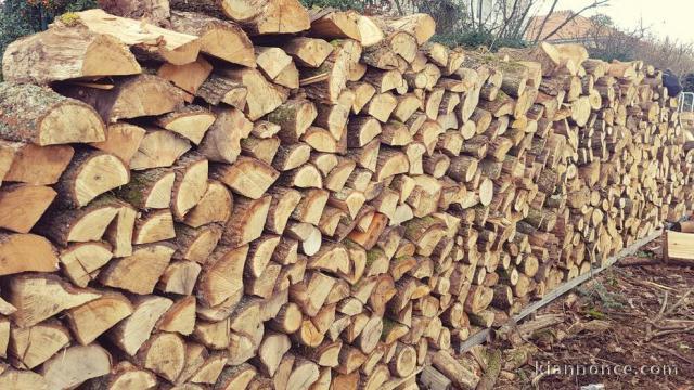  bois de chauffage, très bonne qualité