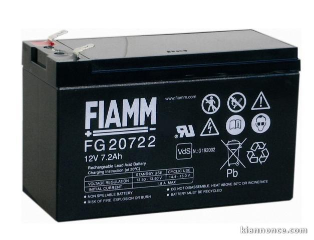                batteries FIAMM