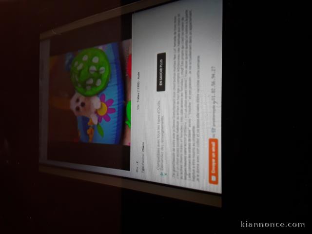 Madame  GÉRALDINE  megalie voleuse  arnaqueueuse 