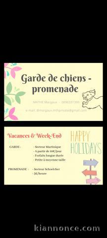 ❗Garde de chiens vacances d\