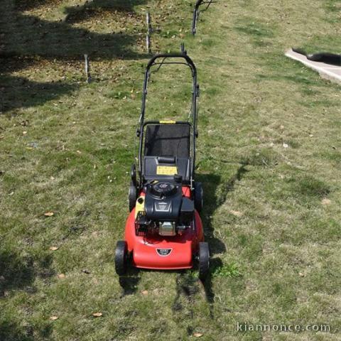 Don de tondeuse à gazon