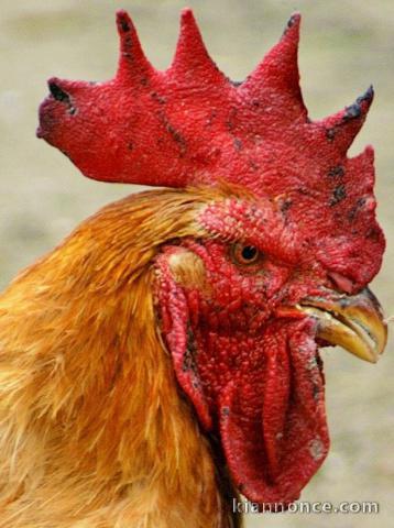 Créer des liens intergénérationnels sur le 17