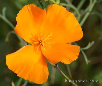 Créer des liens intergénérationnels sur le 85