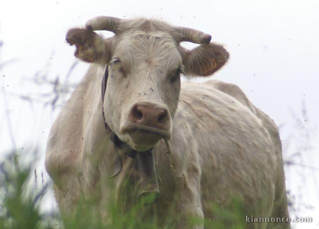 Un geste de générosité, etre grands parents de coeur sur le 19