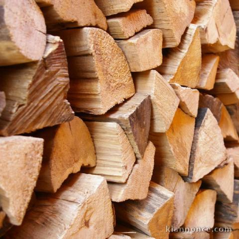 Bois de chauffage qualité 100% & 4 an de séchage.