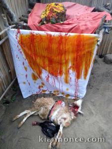 RETOUR AFFECTIF RAPIDE DE L\