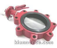 vanne papillon Bray vanne papillon Bray