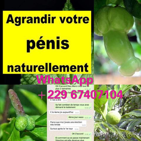Comment avoir un long et gros pénis : produit gros pénis 