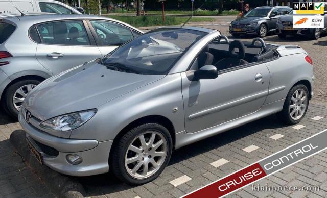 307CC GRISE Année 2005