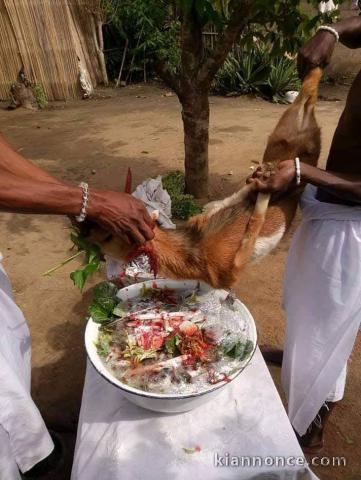   Grand Maître Spirituel Visionnaire 