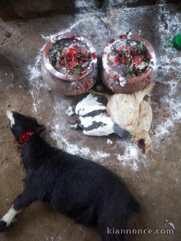 MARABOUT AFRICAIN, AMOUR, CHANCE, BOULOT.