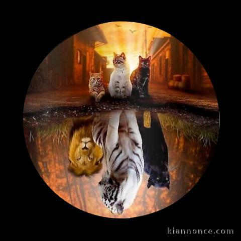 Découvrez votre véritable nature 