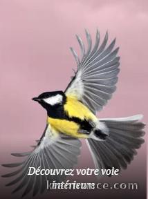 Découvrez Votre Voie Intérieure 