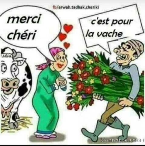  Comment j’ai échappé aux arnaqueurs et trouvé un prêteur honnête