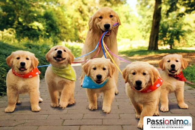 Faites de votre quotidien un moments de bonheur