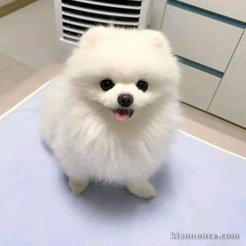 Faites de votre quotidien un moments de bonheur