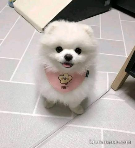 Faites de votre quotidien un moments de bonheur