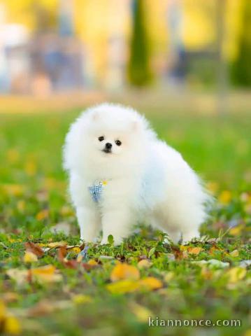 Faites de votre quotidien un moments de bonheur