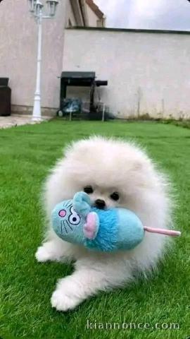 Faites de votre quotidien un moments de bonheur