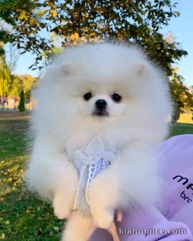 Faites de votre quotidien un moments de bonheur