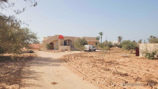 MAISON MEUBLÉE À SEDGHIANE DJERBA - RÉF L764