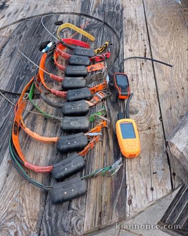 Colliers repérage garmin