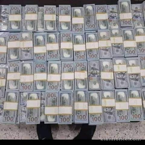 Investor seeking for investment opportunities to finance as partn