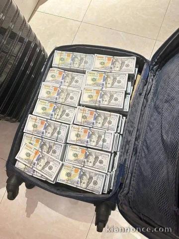 Investor seeking investment opportunities